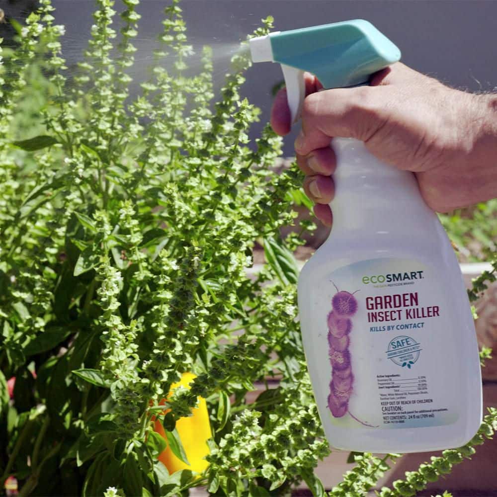 24 oz. Natural Garden Insect Killer with Plant-Based Rosemary Oil and Peppermint Oil, Ready-to-Use Spray Bottle (2-Pack) - Hercitys