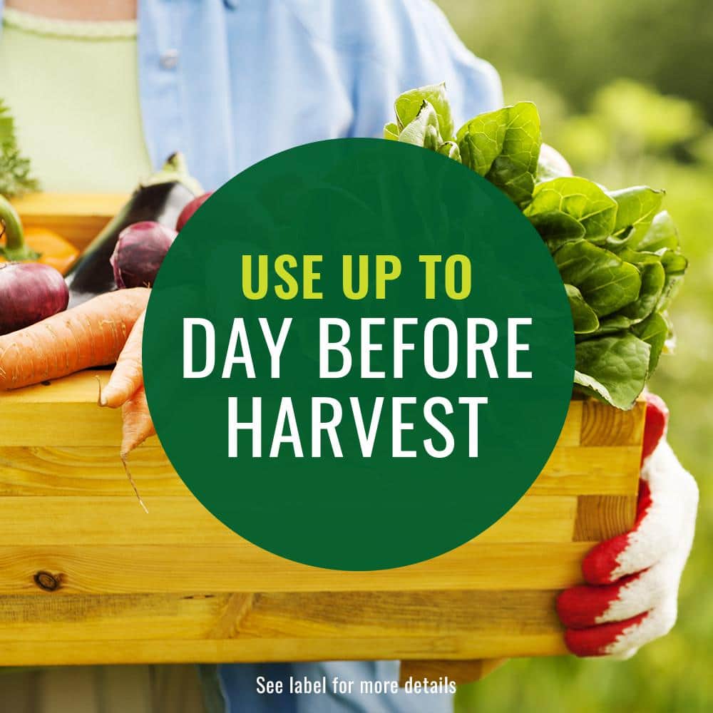 24 oz. Ready-to-Use Insecticidal Soap Insect Killer (2-Pack) - Hercitys