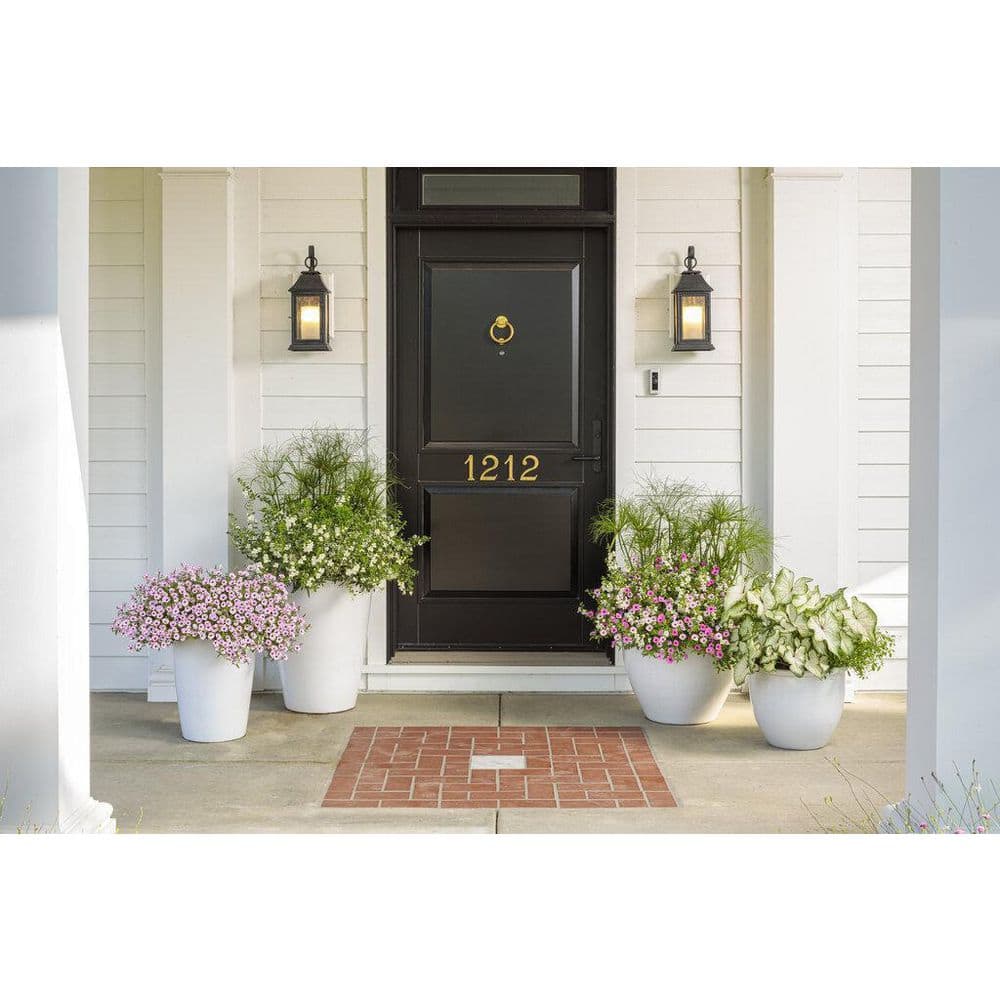 4.25 in. Eco+Grande Whirlwind White Fan Flower (Scaevola) Live Plant, White Flowers (4-Pack) - Hercitys