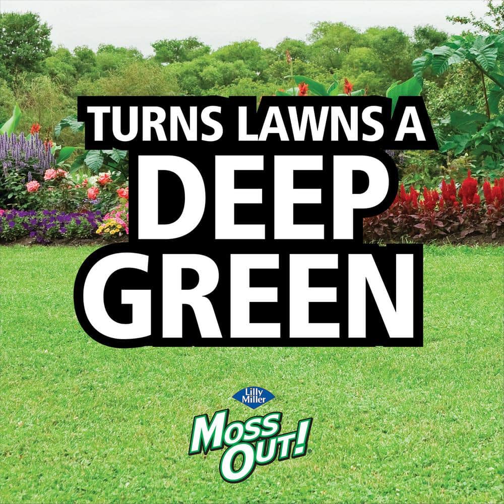 5 lb. 1,250 sq. ft. Lawn Moss Killer Granules Spot Treatment - Hercitys