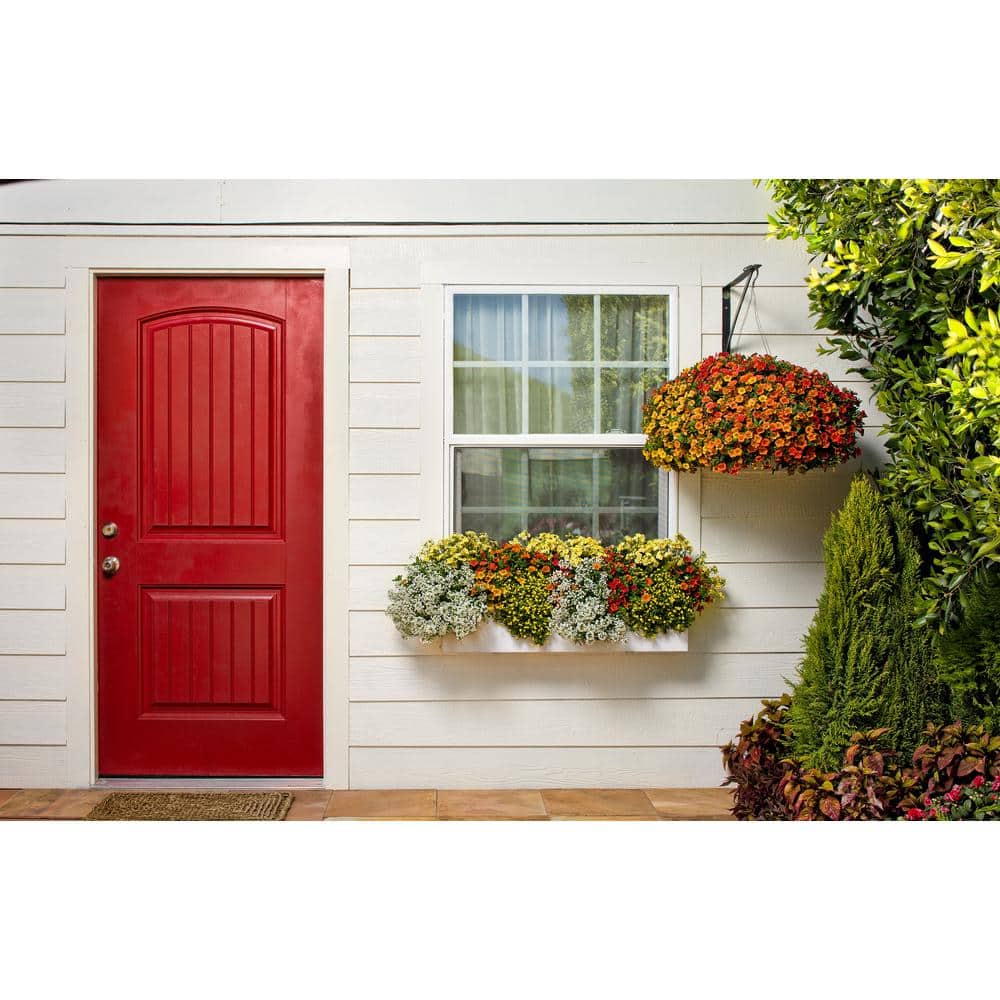 4.25 in. Eco+Grande Superbells Tropical Sunrise (Calibrachoa) Live Plant, Pink, Yellow and Red-Streaked Flowers (4-Pack) - Hercitys