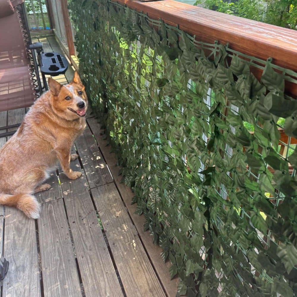 39.4 in. x 118 in. in Polyethylene Artificial Ivy Privacy Garden Fence - Hercitys