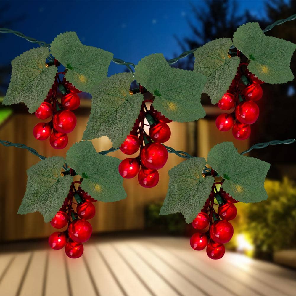 5-Light Clear Incandescent Tuscan Winery Red Grape Summer Garden Patio Christmas Light Set - Hercitys