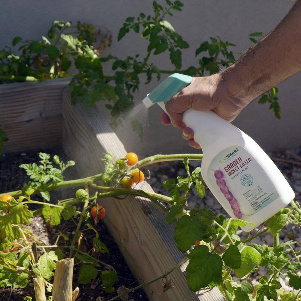 24 oz. Natural Garden Insect Killer with Plant-Based Rosemary Oil and Peppermint Oil, Ready-to-Use Spray Bottle (2-Pack) - Hercitys