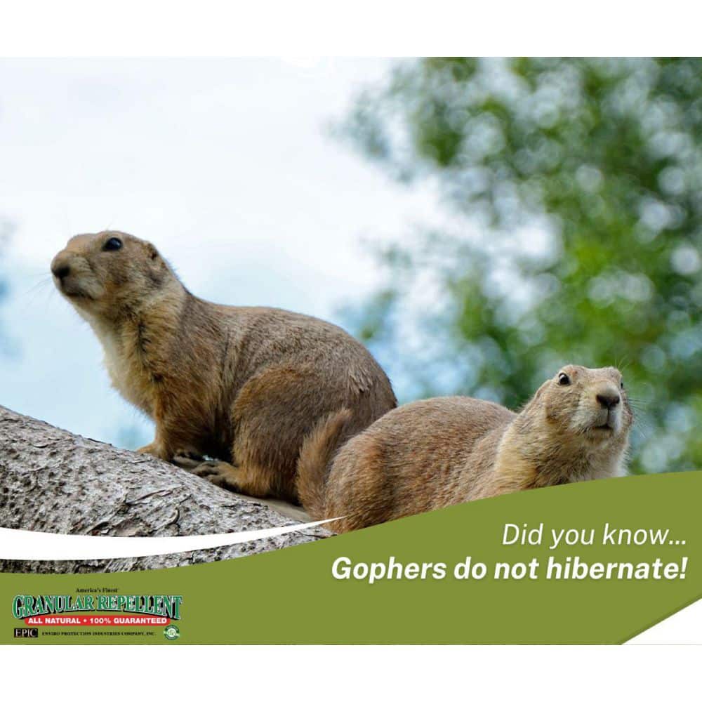 10 lbs. Granular Gopher Repellent Bucket - Hercitys