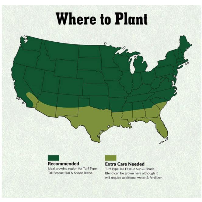 25 lbs. Turf Type Tall Fescue Grass Seed Blend - Hercitys