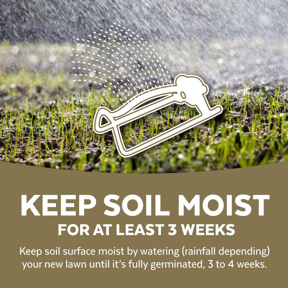 5 lbs. Sun and Shade Repair Mulch, Grass Seed and Fertilizer Combination - Hercitys