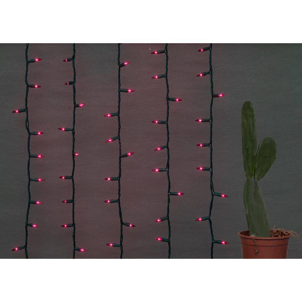 100-Light Red with Green Wire String to String Mini Light Set (Set of 24) - Hercitys