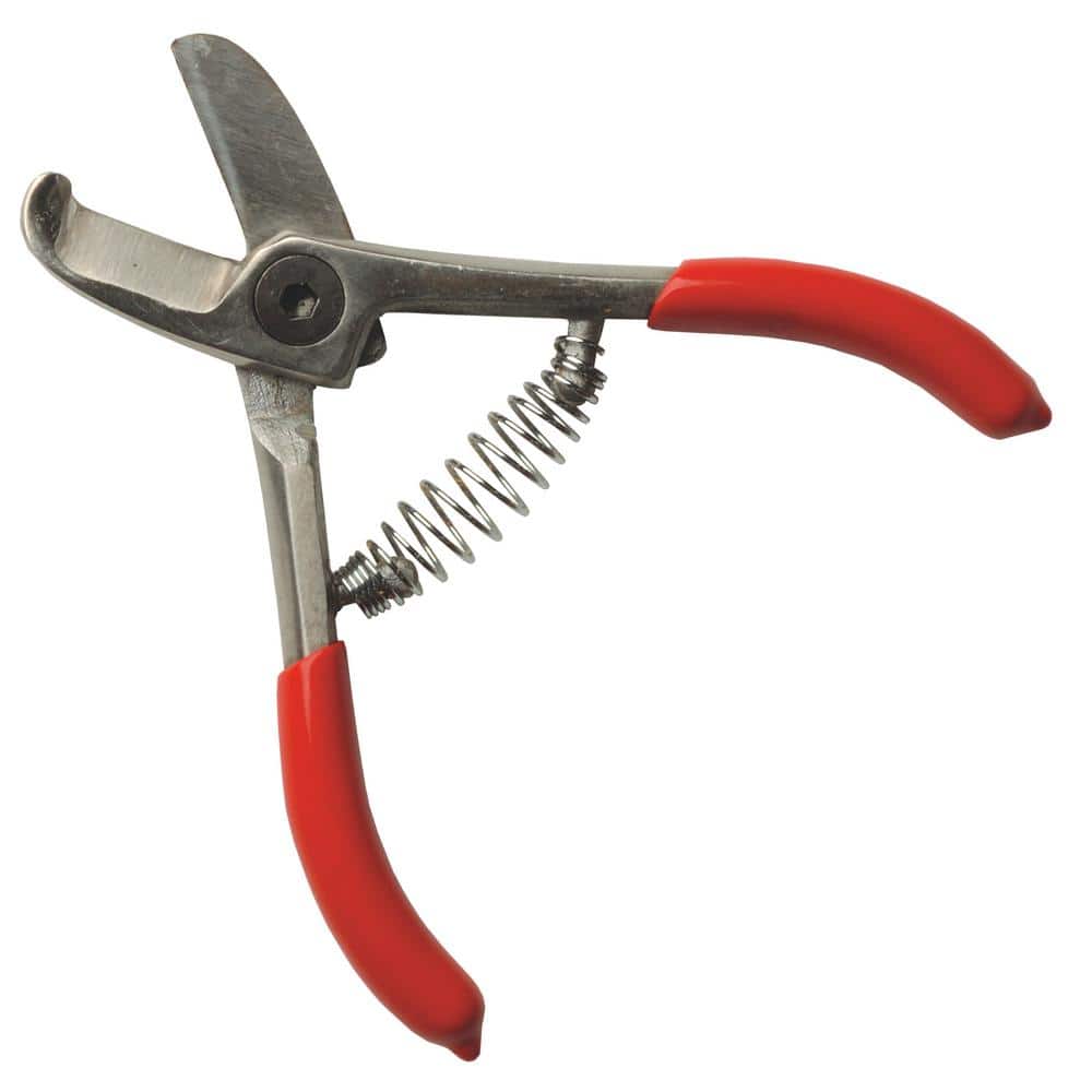 5 in. By-Pass Avocado Picker - Hercitys