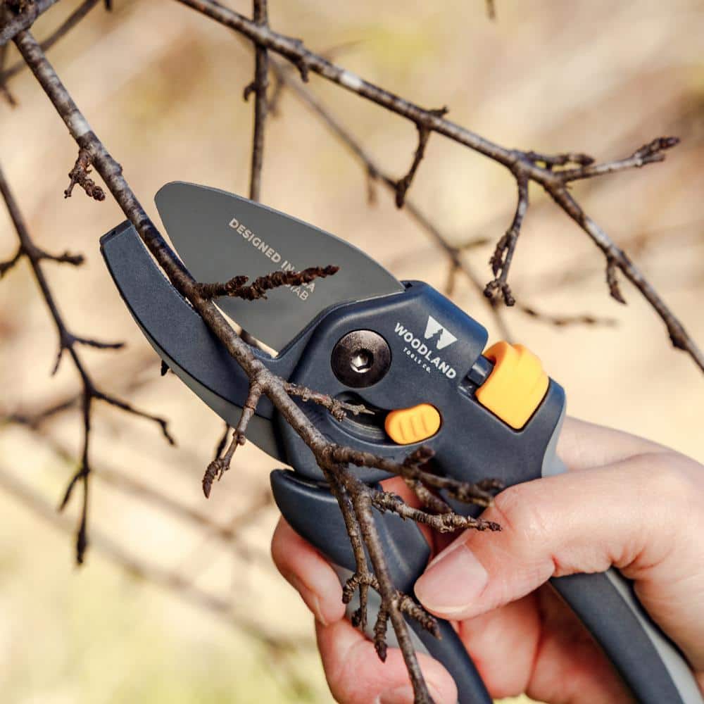 3.75 in. Heavy-Duty Adjustable Anvil Pruning Shears - Hercitys