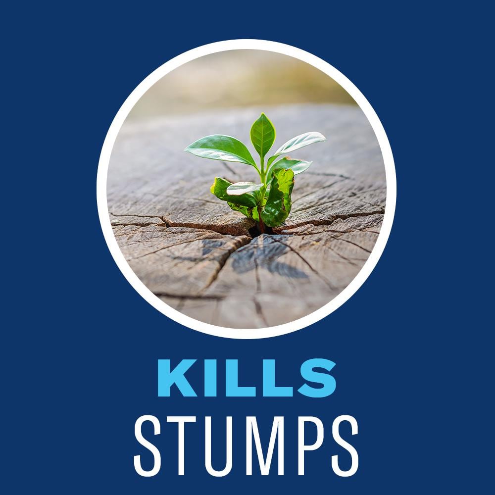 32 oz. Brush Killer Plus Quart Concentrate - Hercitys