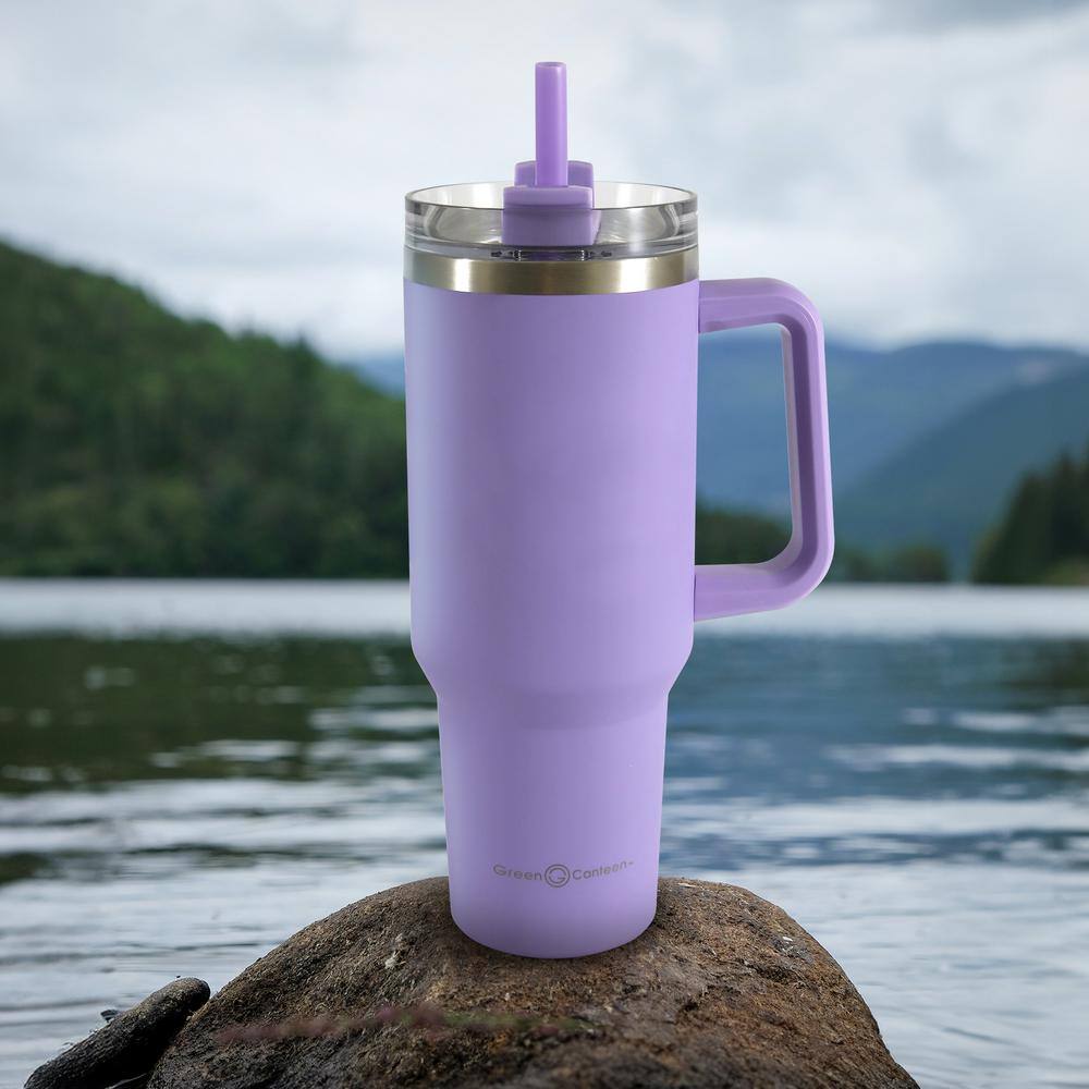 40 oz. Double Wall Stainless Steel Purple Tumbler with Handle (2-pack) - Hercitys