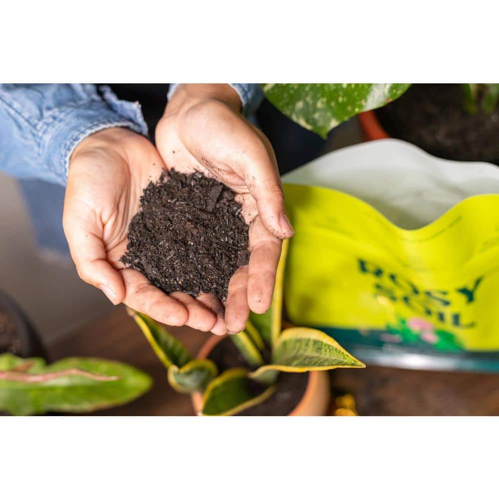 2 qt. Plant Food - Hercitys