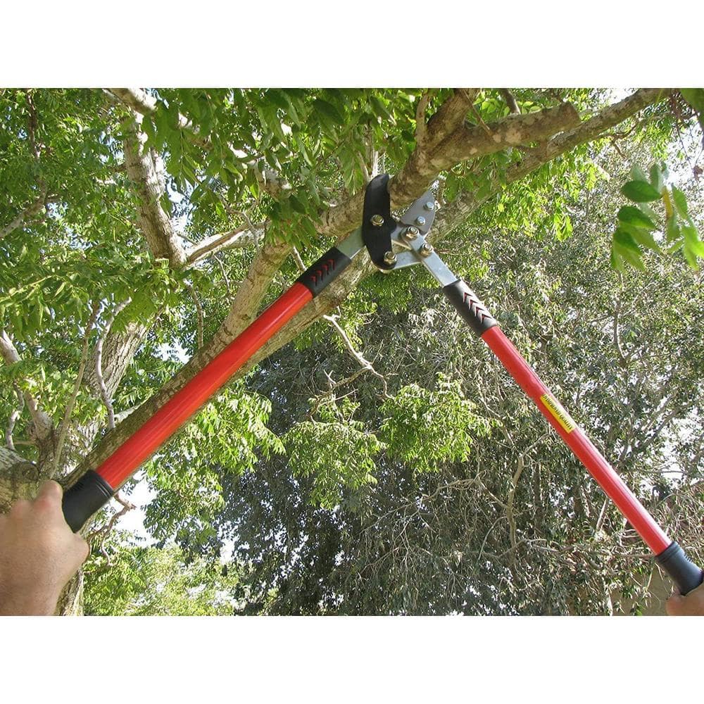 30 in. Tree Trimmer, Branch Cutter with 2 in. Cutting Capacity, Lopper - Hercitys