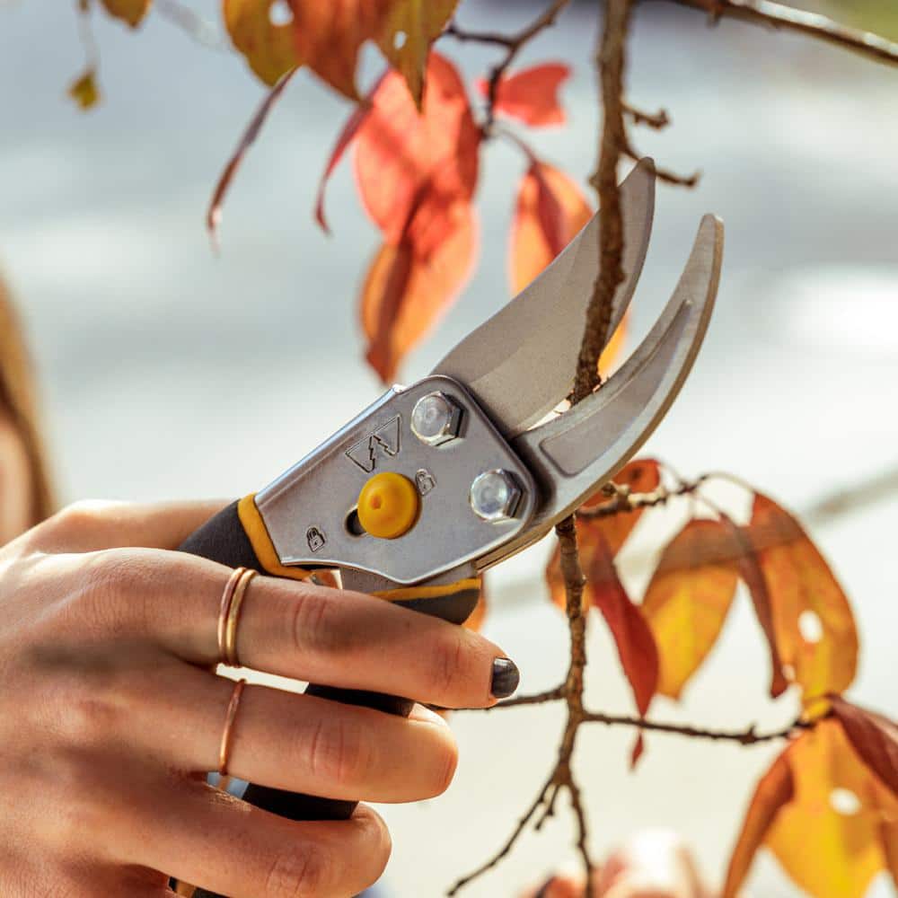 3.75 in. Regular Duty Bypass Pruning Shears - Hercitys