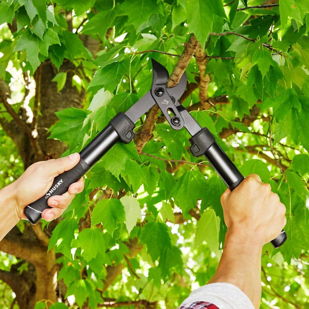 15 in. Compact Bypass Lopper - Hercitys