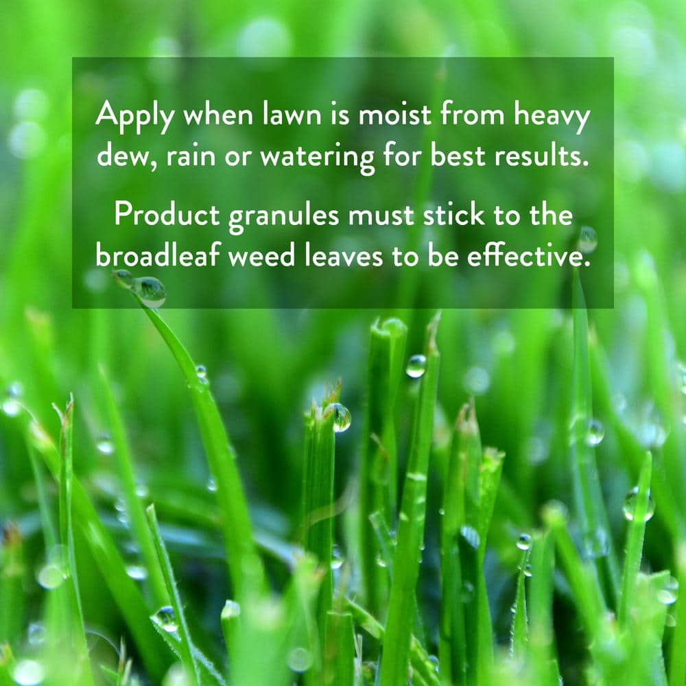 39 lbs. Weed and Feed, Covers 15,000 sq. ft. (27-0-4) - Hercitys