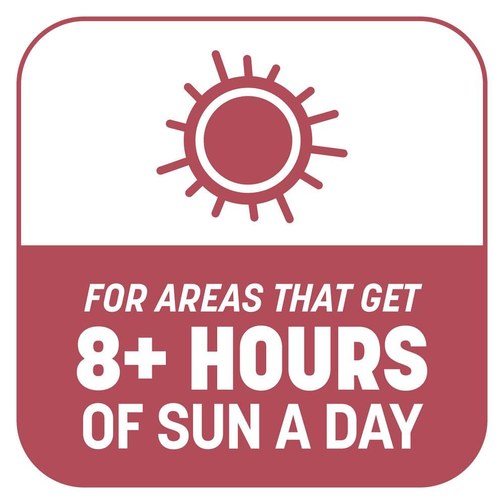 5 lbs. Smart Patch Zoysia Grass Seed with Mulch, Fertilizer - Hercitys