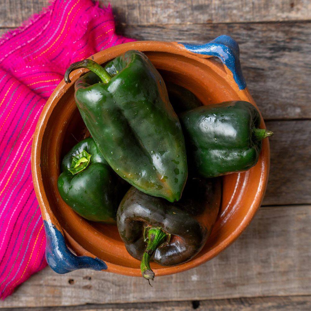 2.5 in. Chile Pepper Plant Collection (4-Pack) - Hercitys