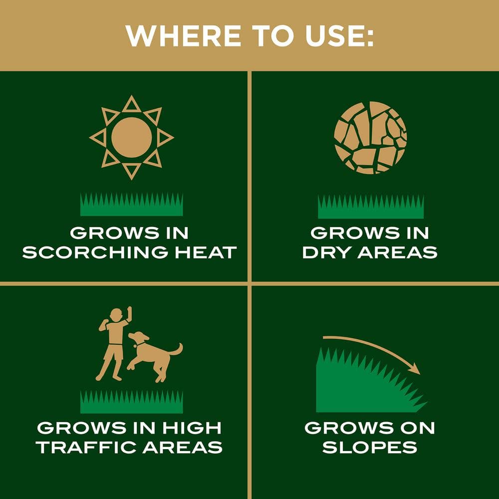 3.75 lb. Turf Builder EZ Bermuda Grass Seed - Hercitys