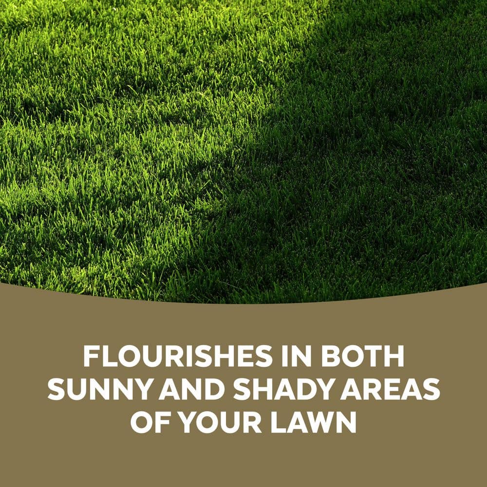 5 lbs. Sun and Shade Repair Mulch, Grass Seed and Fertilizer Combination - Hercitys