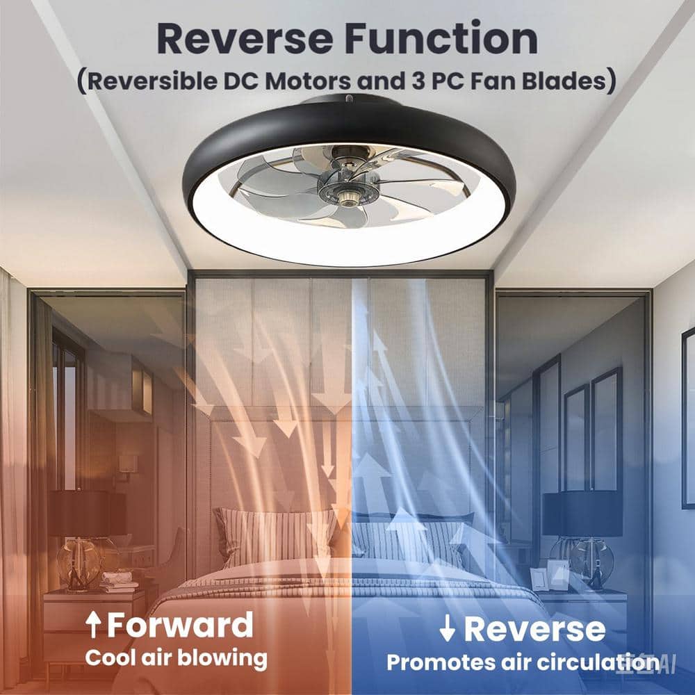 20 in. Indoor LED Bladeless Caged Ceiling Fan with Lights, Dimmable Low Profile Ceiling Fan with App Control-Black - Hercitys