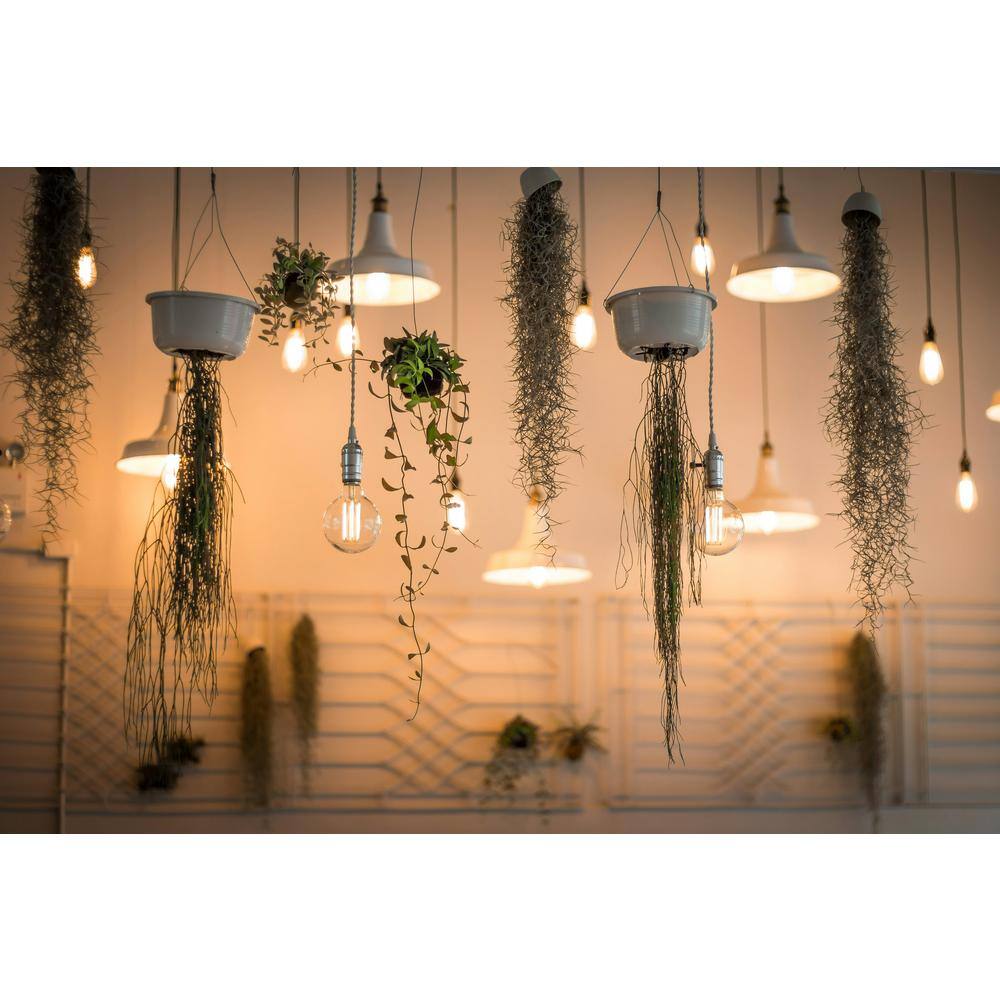 120-Volt 11 in. Electronic Ballast 1-F21T5/1-F26T5/1-F28T5/F35T5 Lamps - Hercitys