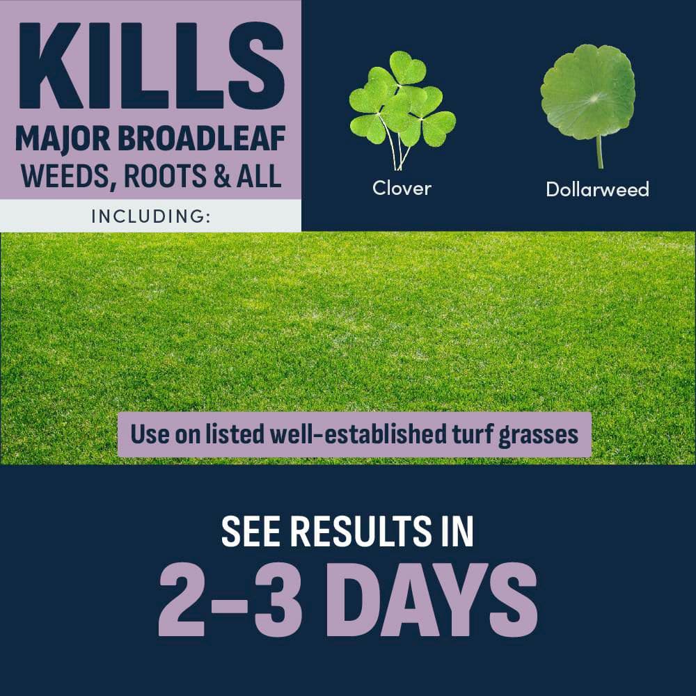 32 oz. Southern Lawn Weed Killer Ready-To-Spray for St. Augustinegrass and Centipedegrass - Hercitys