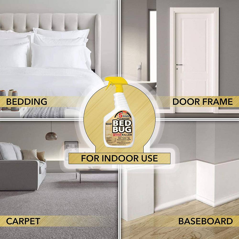 32 oz. 5-Minute Bed Bug Killer (2-Pack) - Hercitys