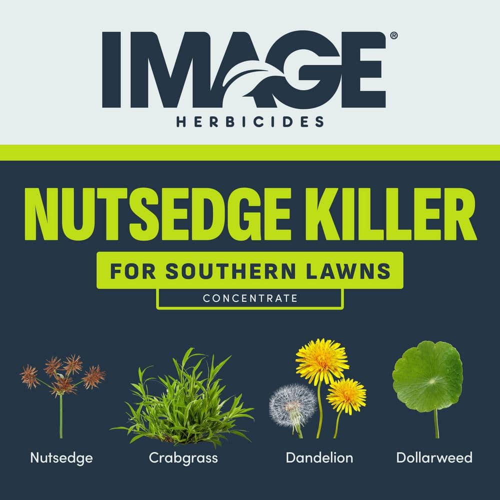 32 oz. 8,000 sq. ft. Nutsedge Weed Killer Ready-To-Spray - Hercitys