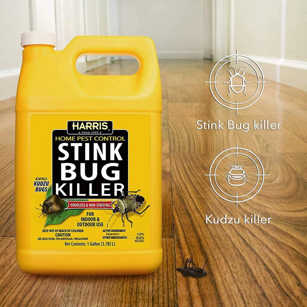1 Gal. Stink Bug Killer (2-Pack) - Hercitys