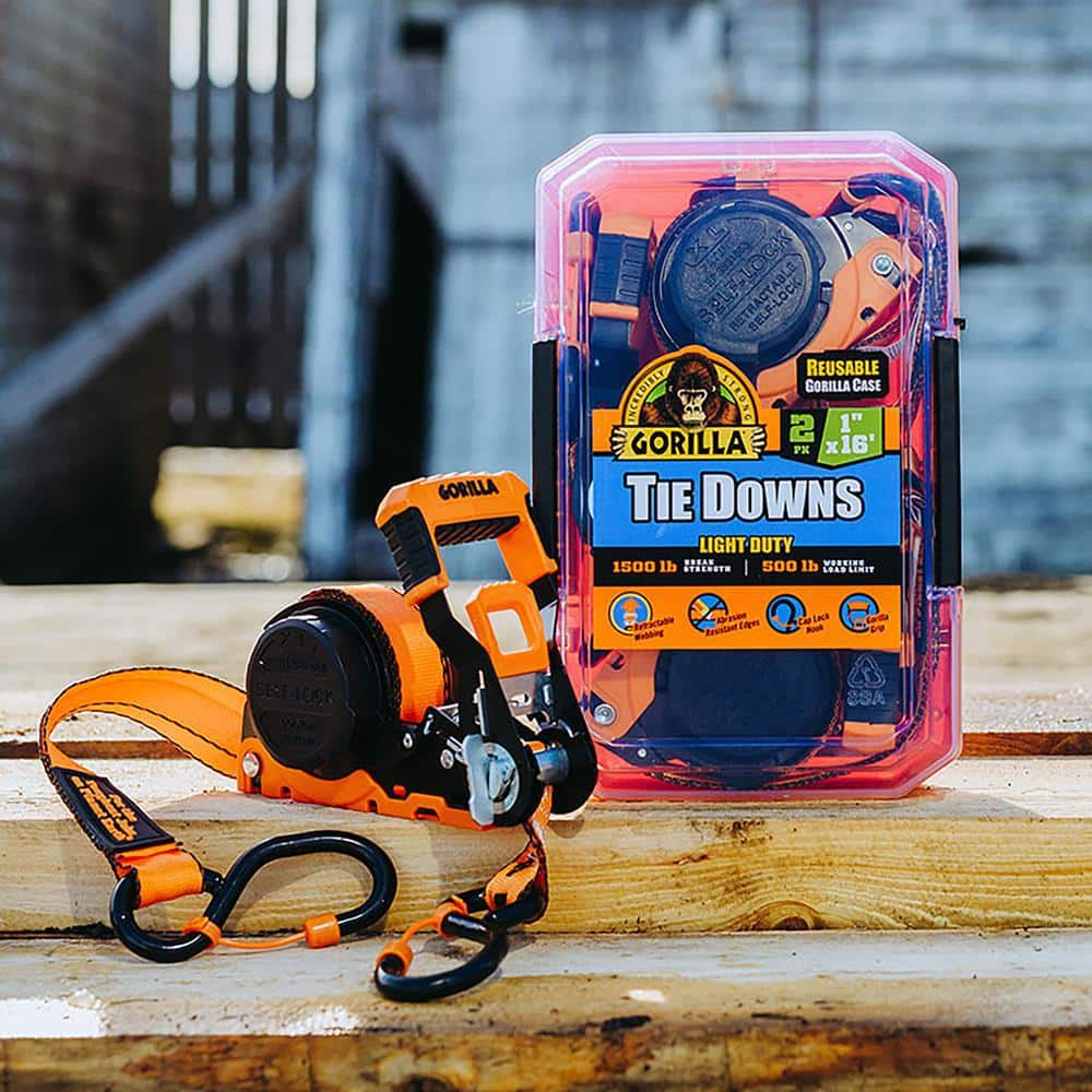 16 ft. x 1 in. Light Duty Tie Down Ratchet Strap (2-Pack) - Hercitys