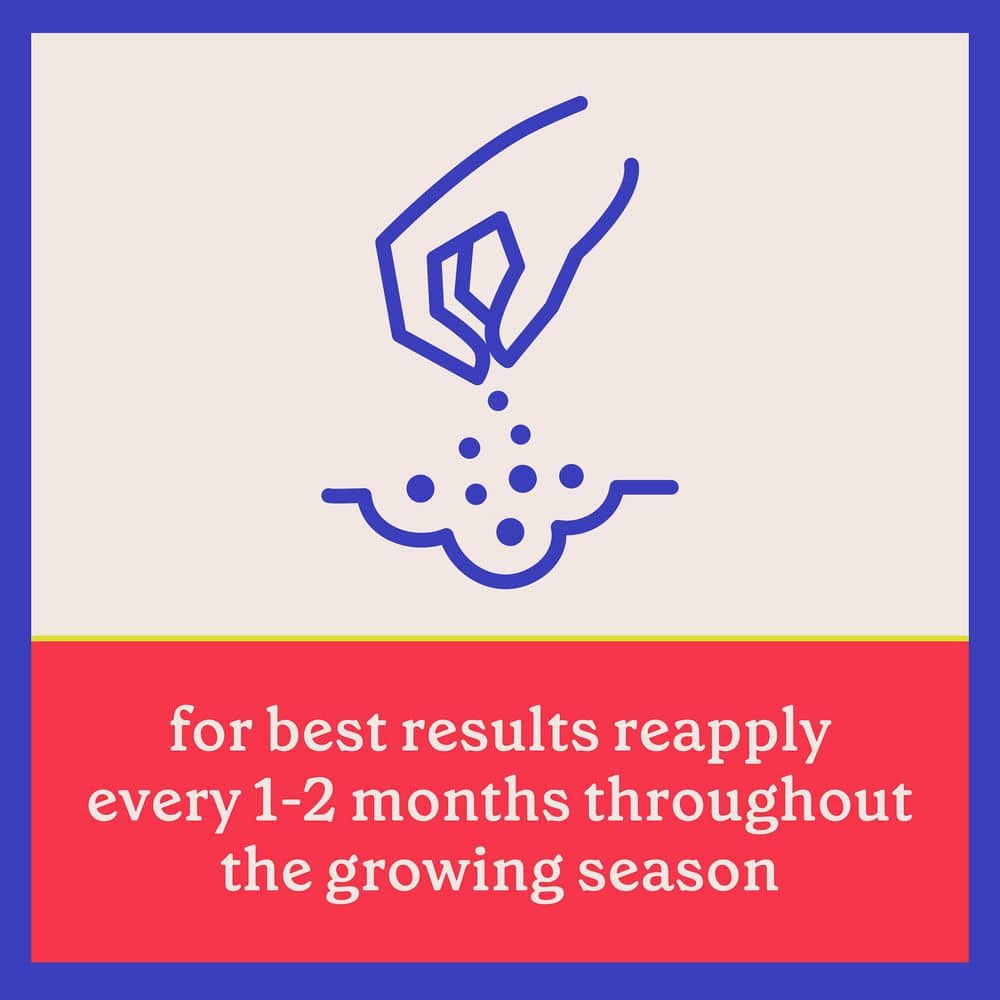 4 lbs. Rejuvenate Tomato and Veg Plant Food 4-5-4 - Hercitys