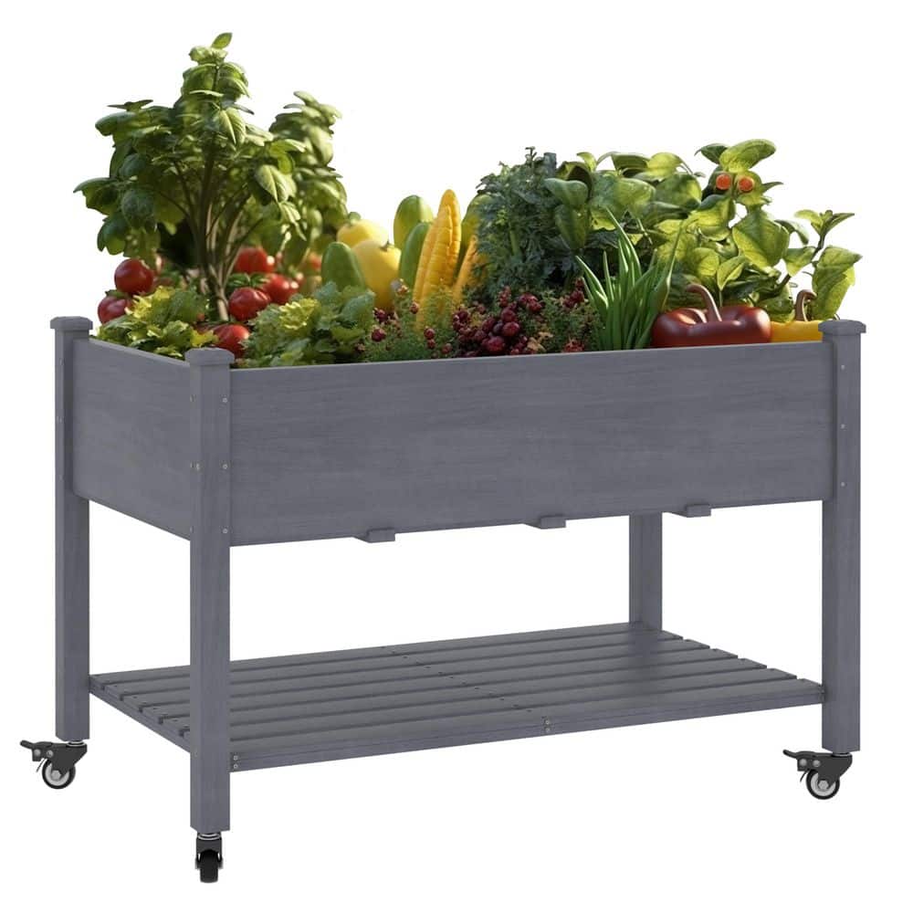 47 in. L x 23 in. W x 33 in. H Cedar Wood Raised Garden Bed with 4 Swivel Wheels and Liner, Gray - Hercitys