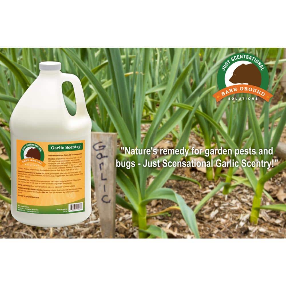 1 Gal. Garlic Scentry Animal and Insect Repellent - Hercitys