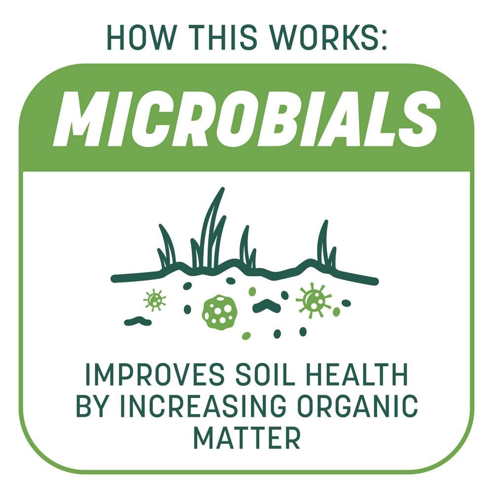 5 lbs. Smart Patch Tall Fescue West Grass Seed with Mulch Fertilizer - Hercitys