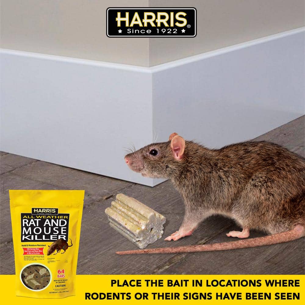 4 lbs./64 Bars All Weather Rat and Mouse Killer - Hercitys