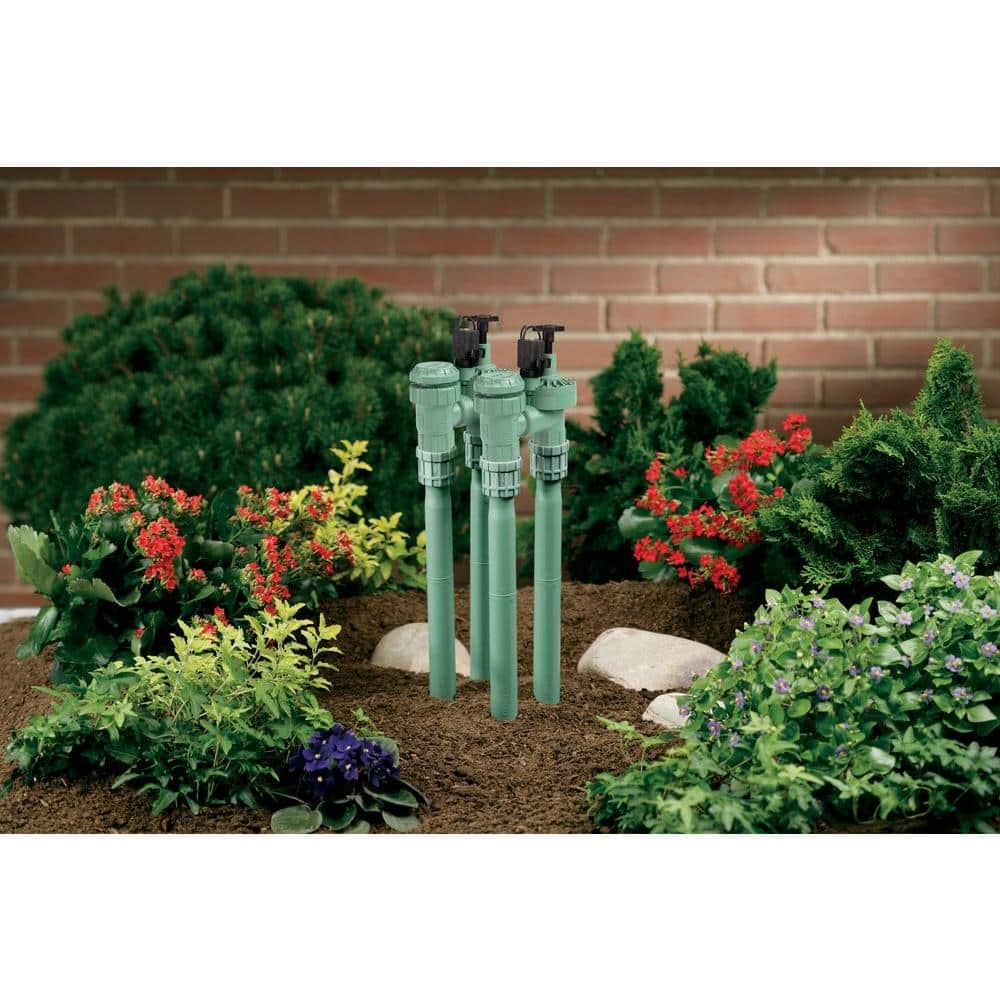 1 in. FPT Anti-Siphon Valve with 3/4 in. Reducer - Hercitys