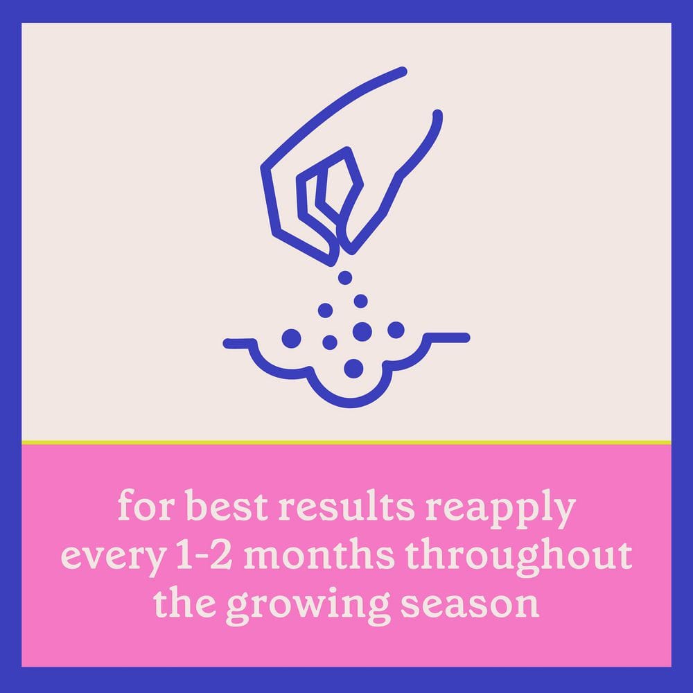 4 lbs. Rejuvenate Rose and Flower Plant Food 4-6-3 - Hercitys