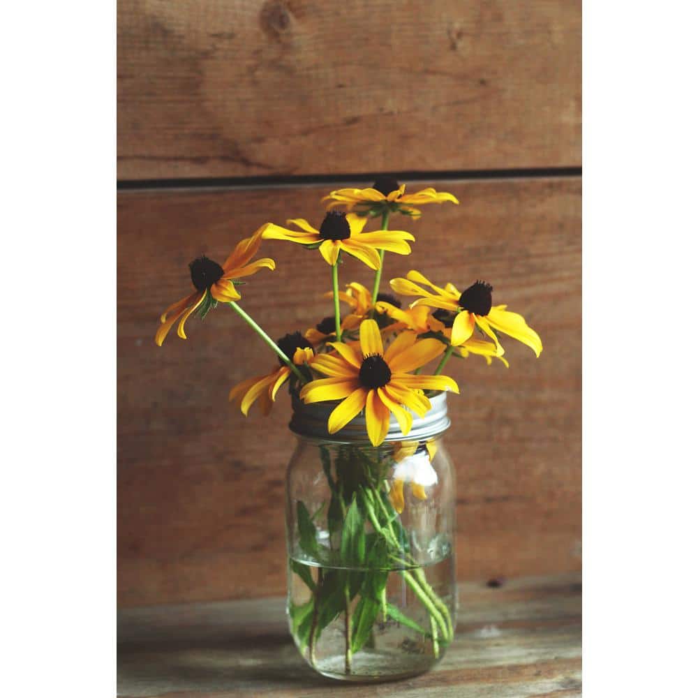 16 oz. Regular Mouth Glass Canning Jar (2 packs of 12) - Hercitys