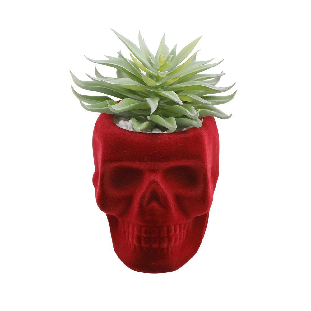 5.125 in. H Fake Succulent in Burgundy Flocked Skull Ceramic - Hercitys