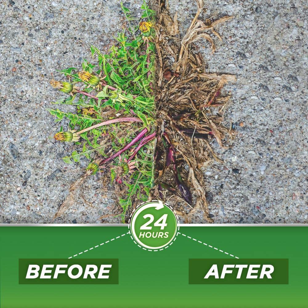 32 fl. oz. 20% Vinegar Weed Killer - Hercitys