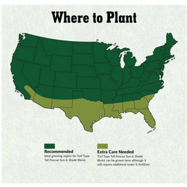 50 lbs. Turf Type Tall Fescue Grass Seed Blend - Hercitys