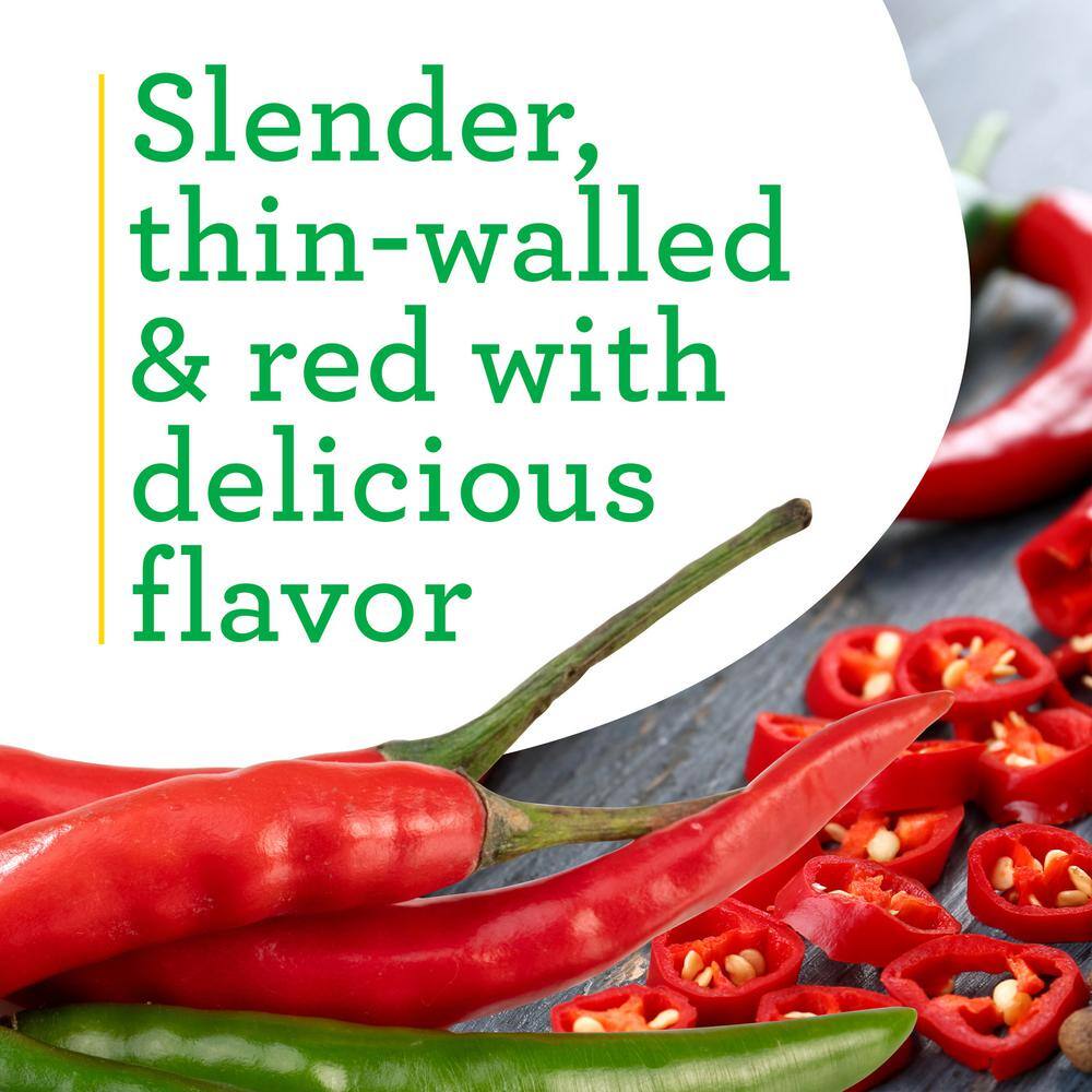 19 oz. Hot Red Cayenne Pepper Plant (2-Pack) - Hercitys