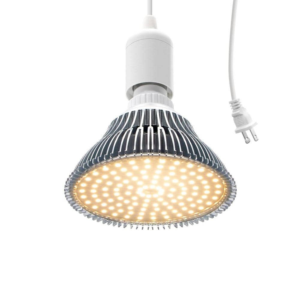 Shop By Department/Decor & Furniture/Lighting & Ceiling Fans/Shop All Lighting & Ceiling Fans - Hercitys