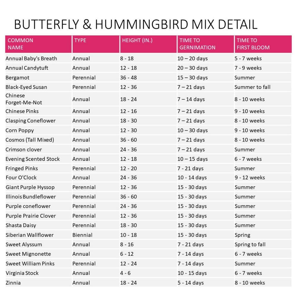 2 lbs. Butterfly and Hummingbird All-In-One Wild Flower Mix with Seed, Plant Food and Soil Conditioners - Hercitys