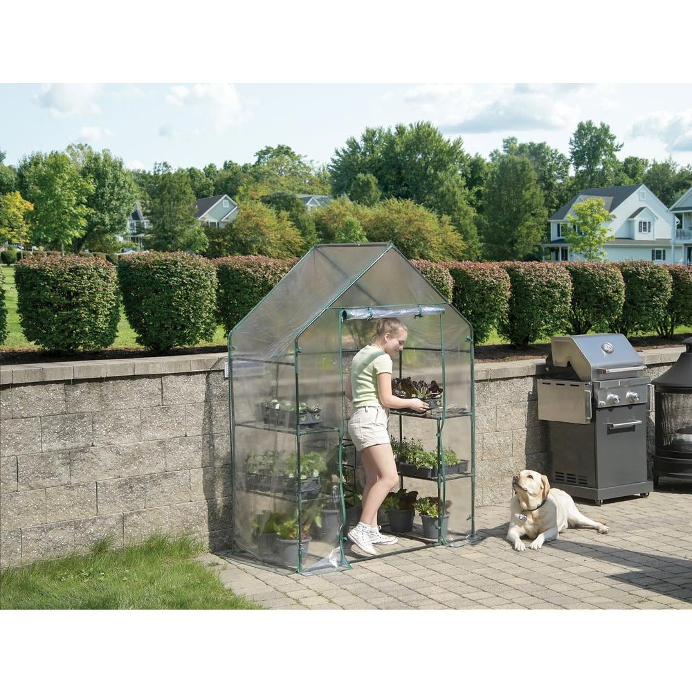 4 ft. 8 in. x 2 ft. 4 in x 6 ft. 4 in. Mini Greenhouse - Hercitys