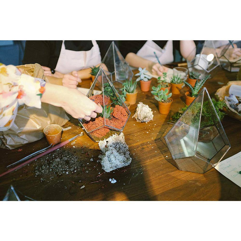 2 in. Green Succulent (Collection of 40) - Hercitys