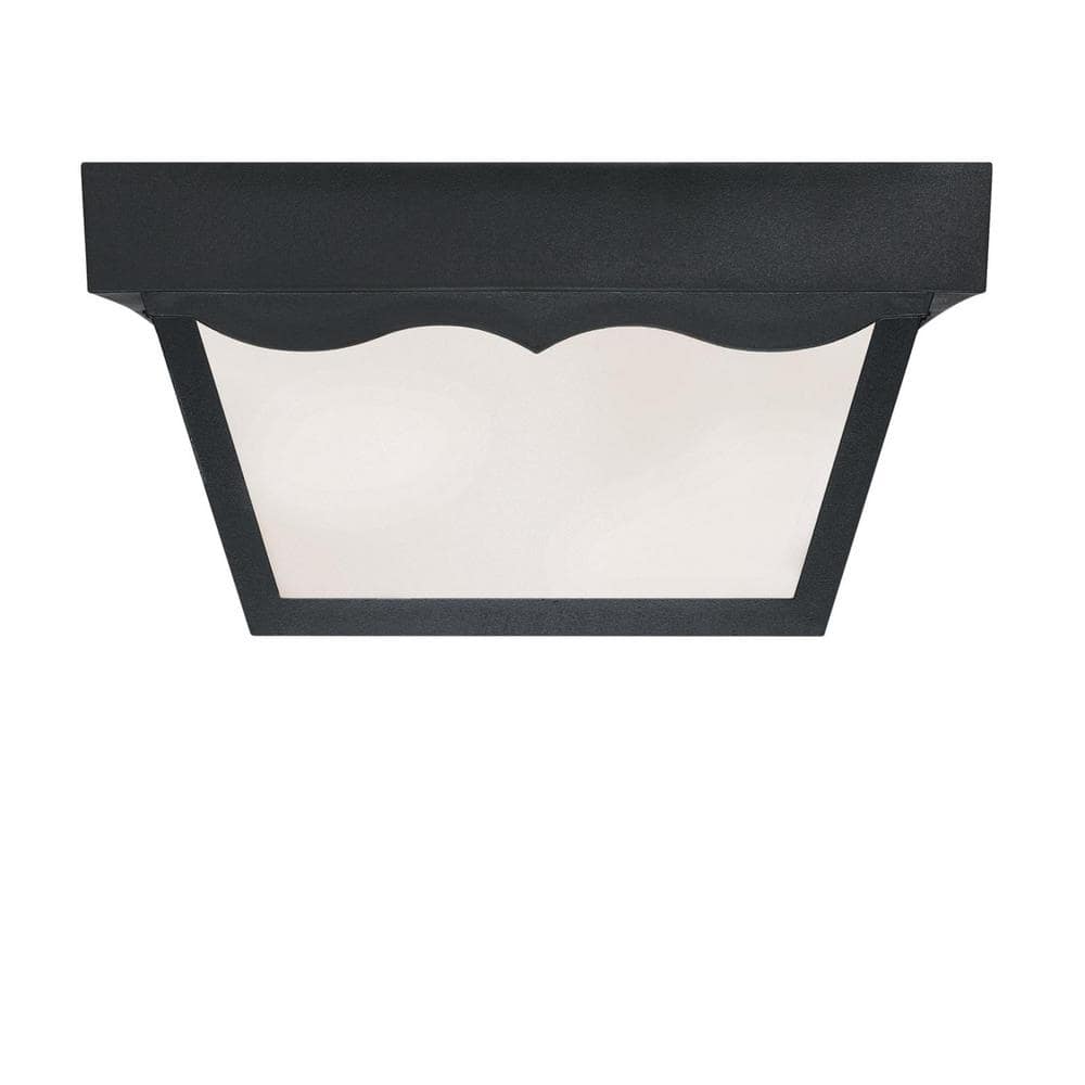 2-Light Black Polypropylene Outdoor Flush Mount - Hercitys