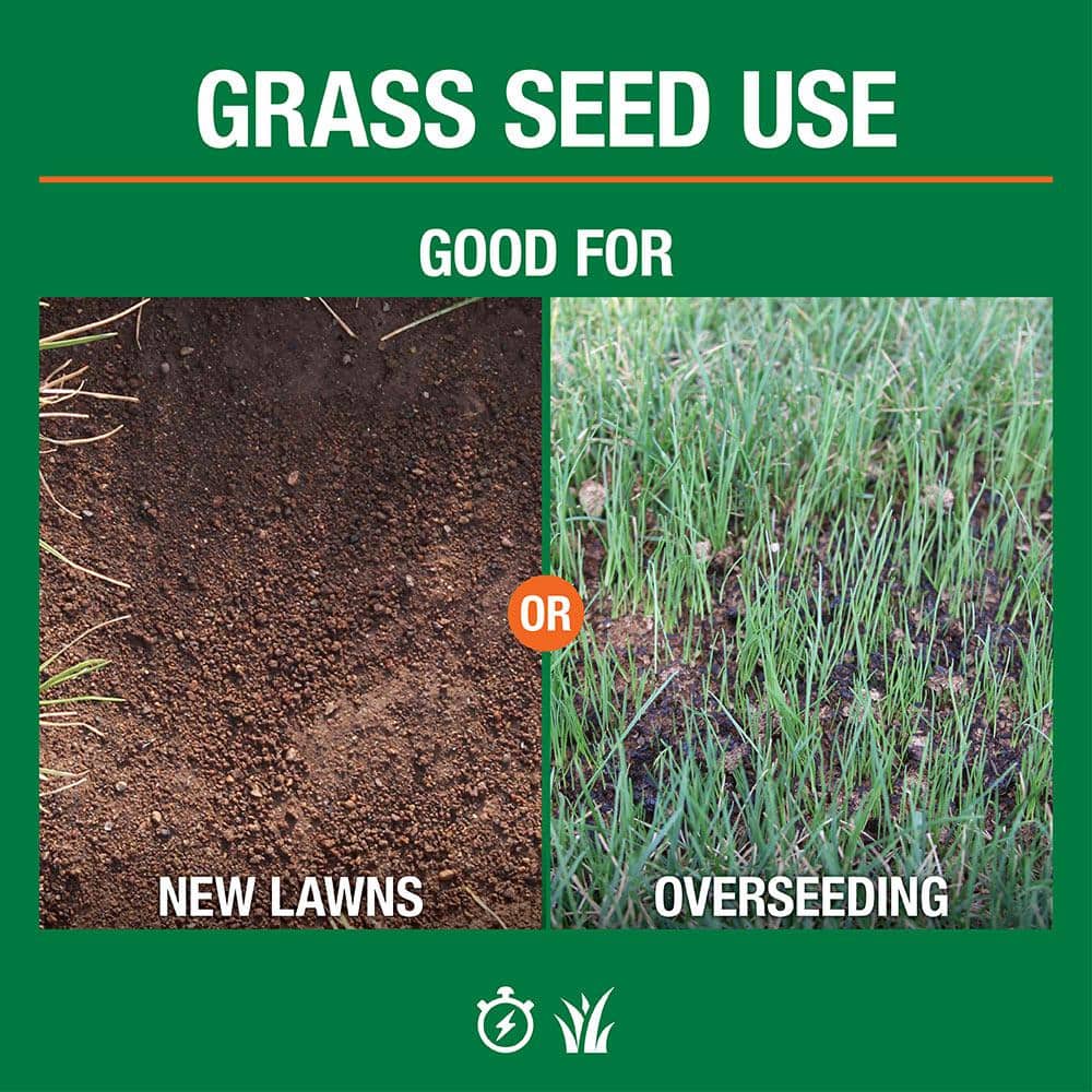 3 lbs. Dense Shade Grass Seed Mix with Water Saver Seed Coating - Hercitys